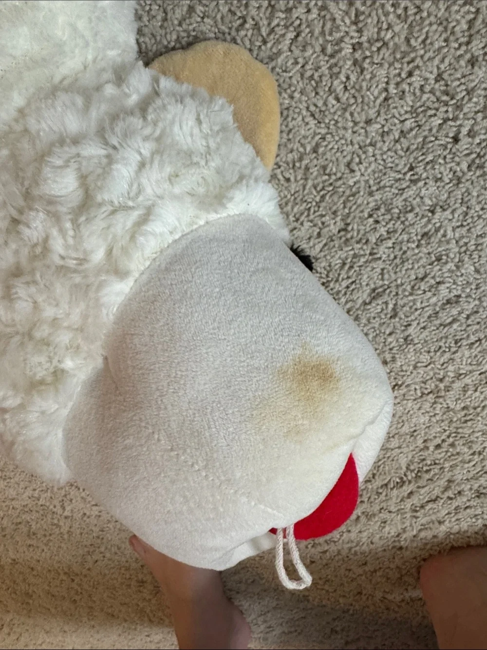 Lamb Chop Pet Bed by
